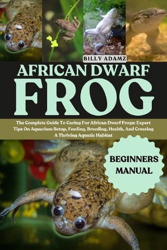 African dwarf frog the - african,